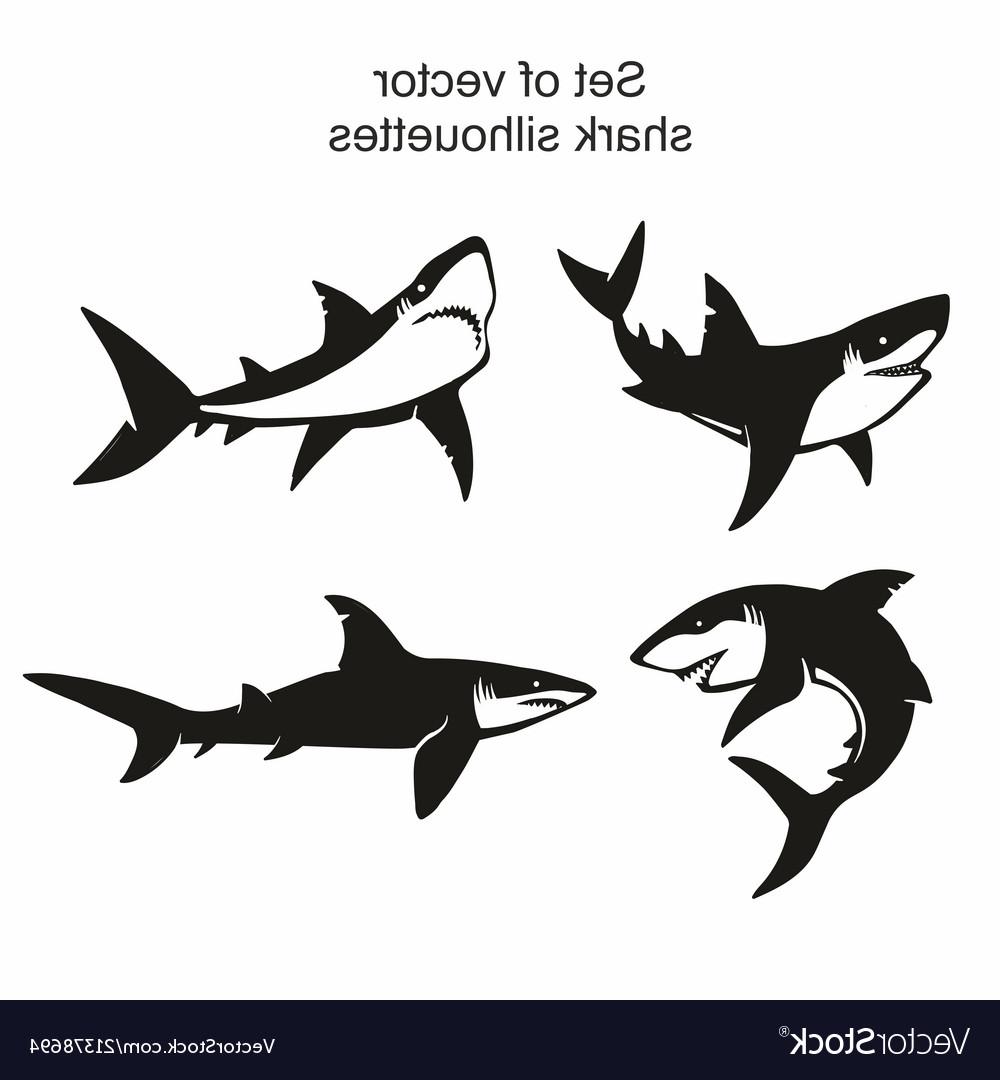 1000x1080 Top Great White Shark Silhouette Library Free Vector Art, Images