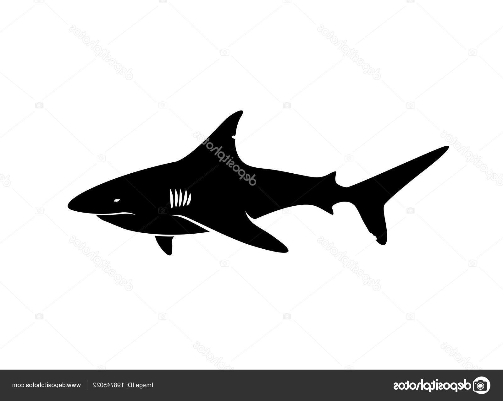 1600x1277 Top Shark Silhouette Vector Design Vector Images Design