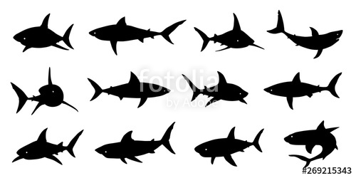 500x250 Shark Silhouette Stock Image And Royalty Free Vector