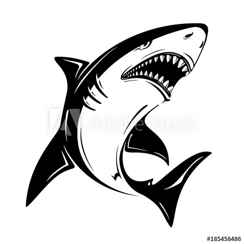 Shark Vector