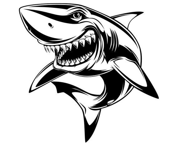 Free Free 250 Great White Shark Svg Free SVG PNG EPS DXF File