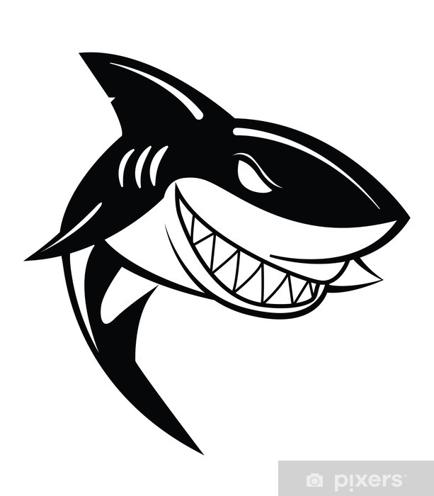 Shark Vector at Vectorified.com | Collection of Shark Vector free for ...