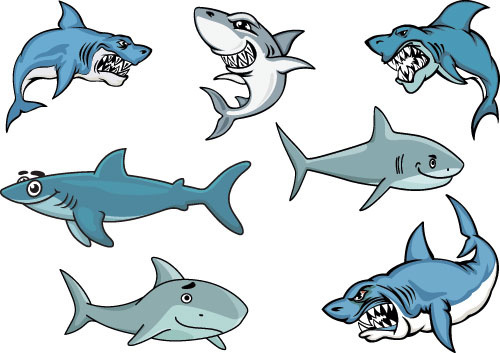 500x353 Shark Free Vector Download