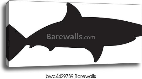 453x252 Shark Vector, Canvas Print Barewalls Posters Prints