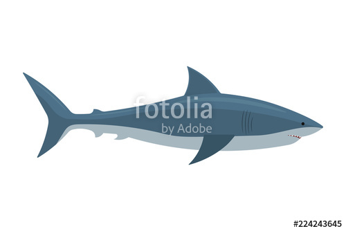 500x334 Shark Vector Illustration Isolated Stock Image And Royalty