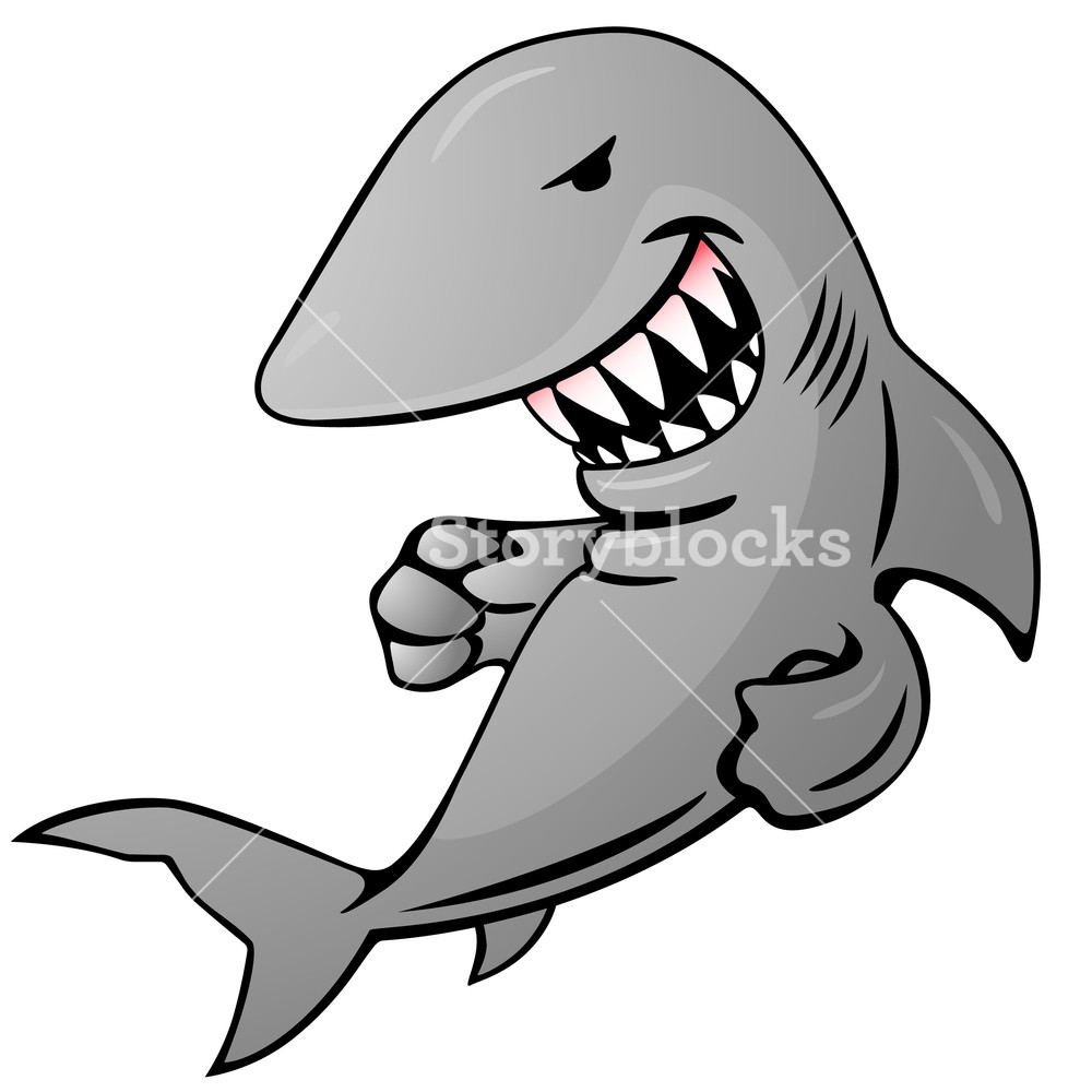 1000x1000 Cartoon Shark Vector Illustration Royalty Free Stock Image