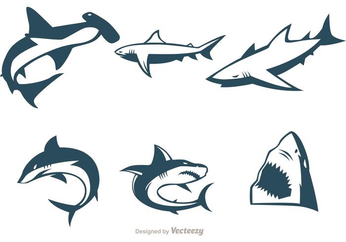 700x490 Collection Of Shark Vectors