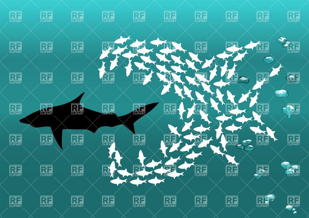 1200x849 Flock Of Small Fishes Attacks Shark Vector Image Of Plants