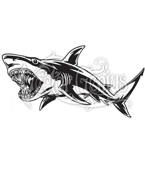 Great White Shark Attack Clip Art 468x580 Great White Shark Attack Clip Art