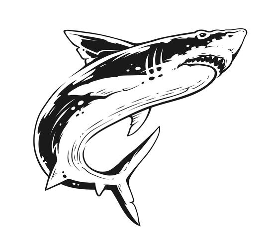 Shark Black And White Contrast Vector Art 549x490 Shark Black And White Contrast Vector Art