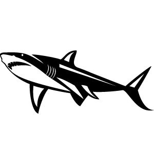 Shark Illustration Free Vectors Ui Download 300x300 Shark Illustration Free Vectors Ui Download