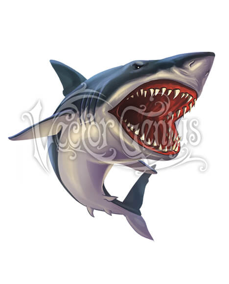 Shark Vector Art at Vectorified.com | Collection of Shark Vector Art ...