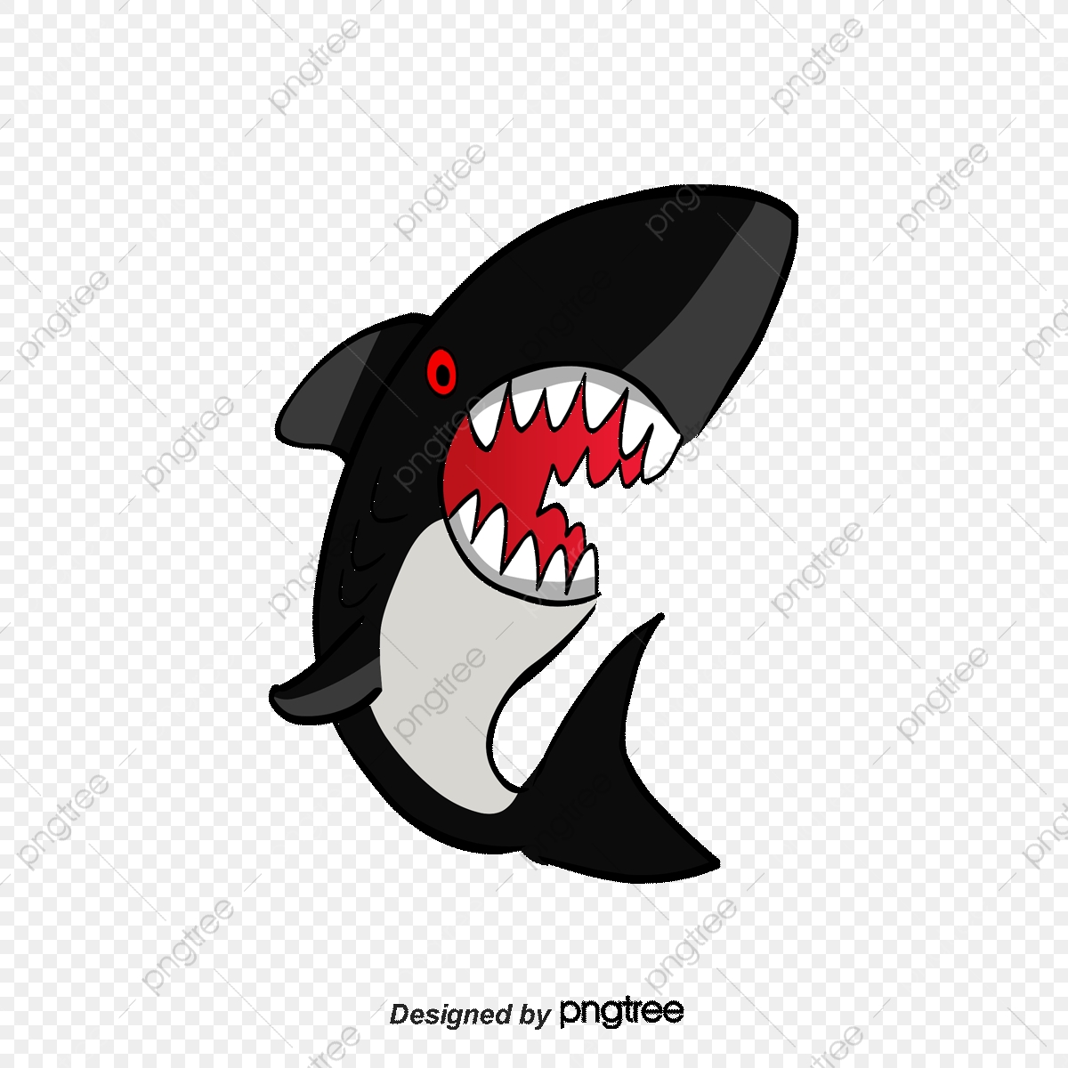 Shark, Fish, Shark Vector Png And Vector With Transparent 1200x1200 Shark, Fish, Shark Vector Png And Vector With Transparent