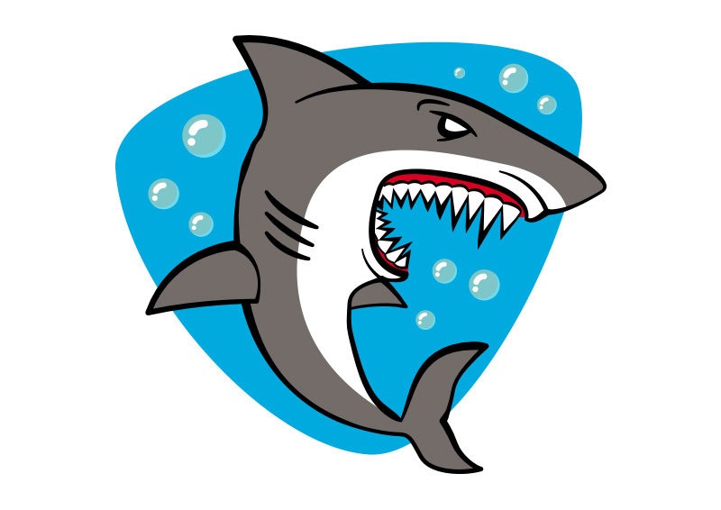 Shark Cartoon Free Vector Illustration 800x566 Shark Cartoon Free Vector Illustration