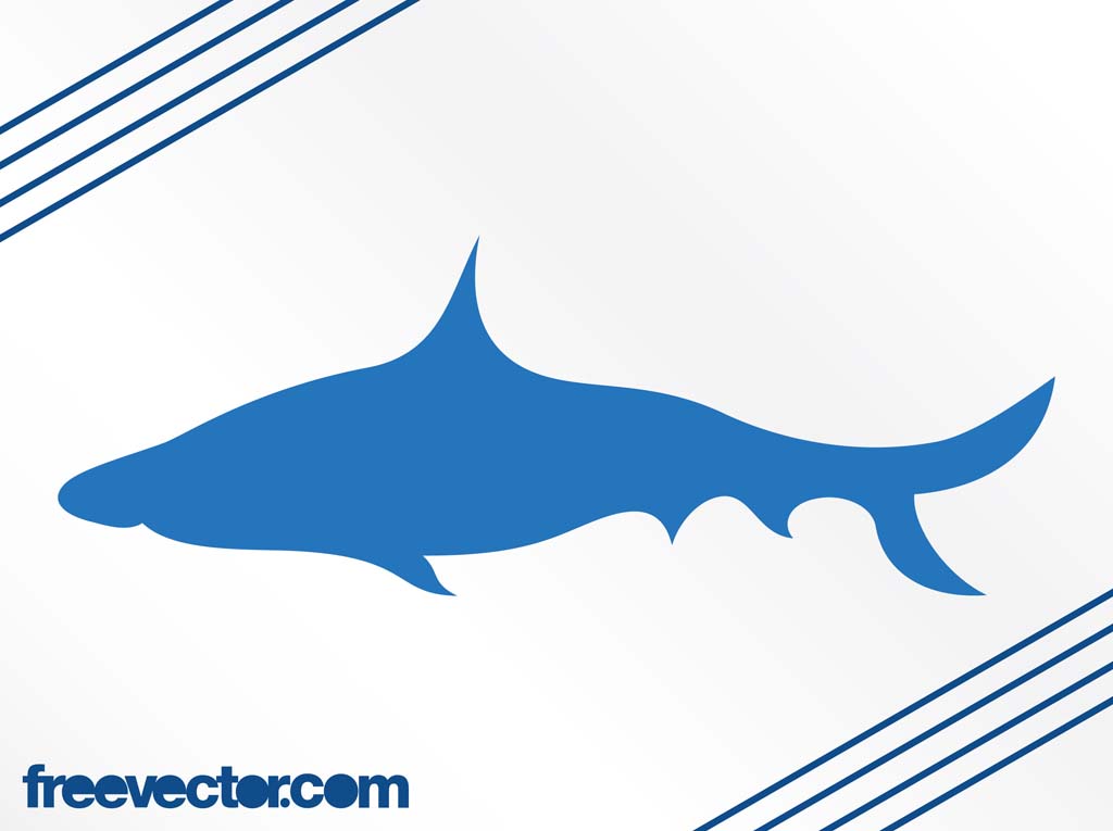 Shark Vector Silhouette Vector Art Graphics 1024x765 Shark Vector Silhouette Vector Art Graphics
