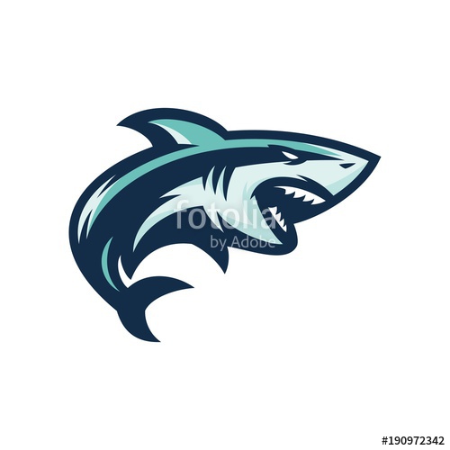 Shark 500x500 Shark