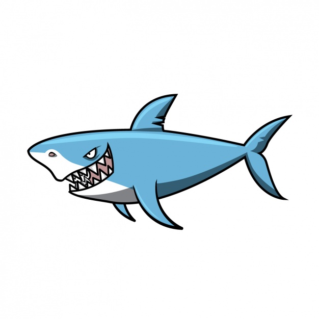 Coloured Shark Design Vector Free Download 626x626 Coloured Shark Design Vector Free Download