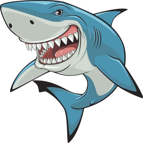 500x497 Realistic Shark Design Vector