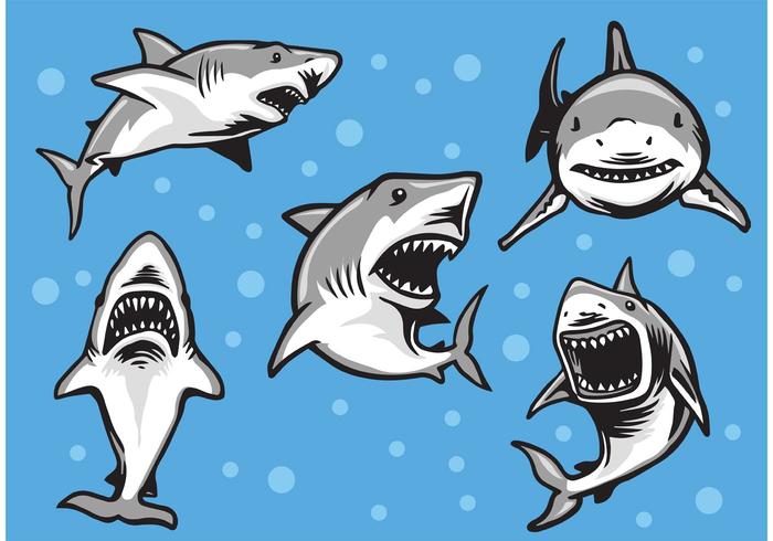 700x490 Shark Free Vector Art