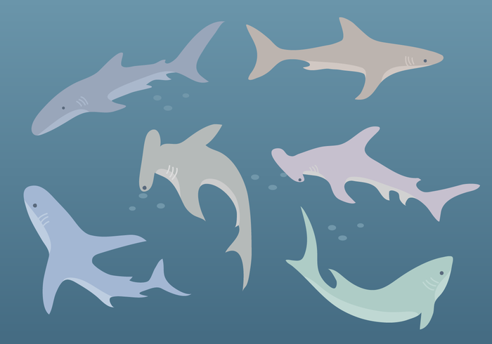 700x490 Shark Free Vector Art