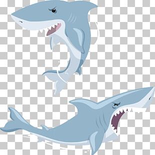 310x310 Shark Vector Png Images, Shark Vector Clipart Free Download