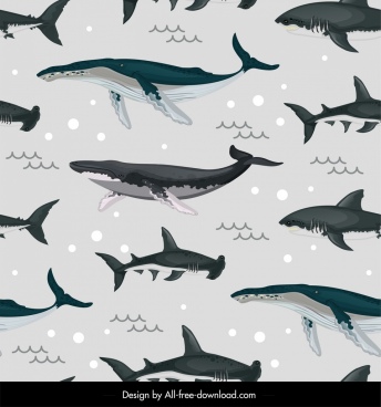344x368 Shark Free Vector Download