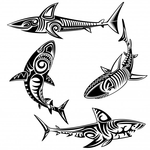 626x626 Tribal Shark Vectors, Photos And Free Download