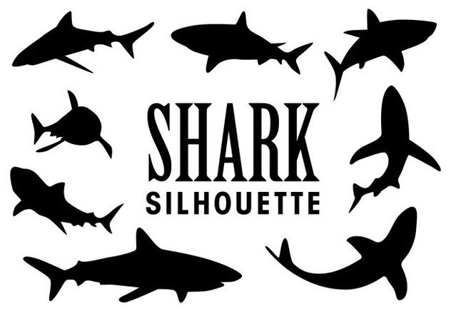 Free Free 100 Shark Svg Free Download SVG PNG EPS DXF File