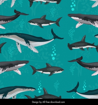 345x368 Whale Shark Vector Free Vector Download