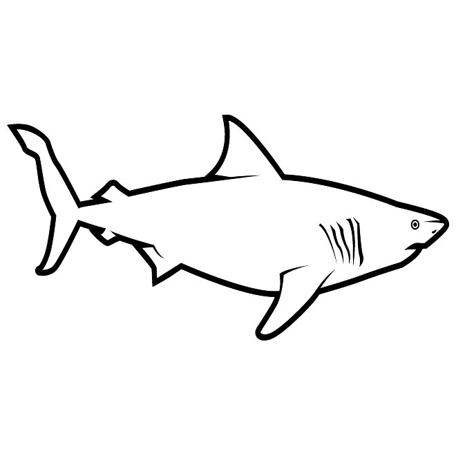660x660 Great White Shark Free Vector Free Vectors Ui Download