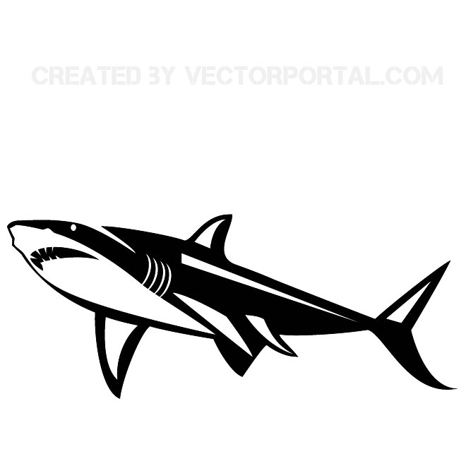 660x660 Shark Vector Graphics Free Vectors Ui Download