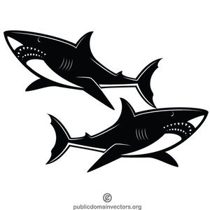 Shark Vector Image