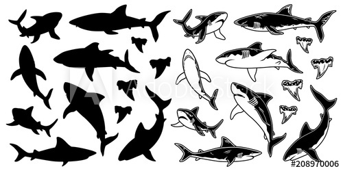 Set Of Monochrome Shark Vector Silhouettes Sea Fish, Animal 500x250 Set Of Monochrome Shark Vector Silhouettes Sea Fish, Animal