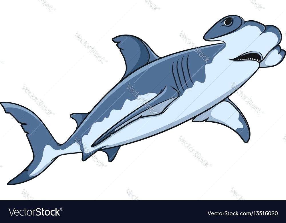 Shark Images To Color Color Of The Hammerhead Shark Vector Image 1000x780 Shark Images To Color Color Of The Hammerhead Shark Vector Image