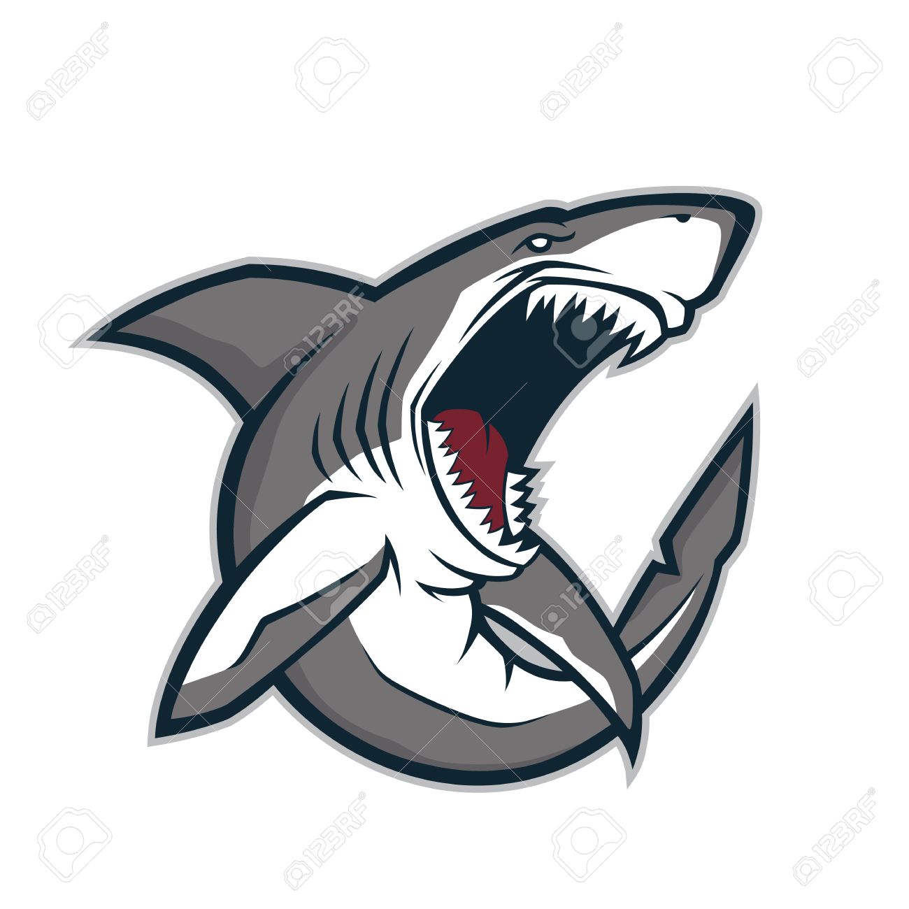 Shark Vector 1300x1300 Shark Vector