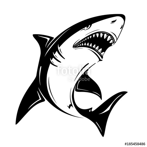 Angry Black Shark Vector Illustration Isolated On White Background 500x500 Angry Black Shark Vector Illustration Isolated On White Background