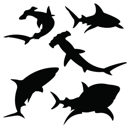 Shark Vector Silhouettes Set Sea Fish, Animal Swimming, Fauna 450x450 Shark Vector Silhouettes Set Sea Fish, Animal Swimming, Fauna