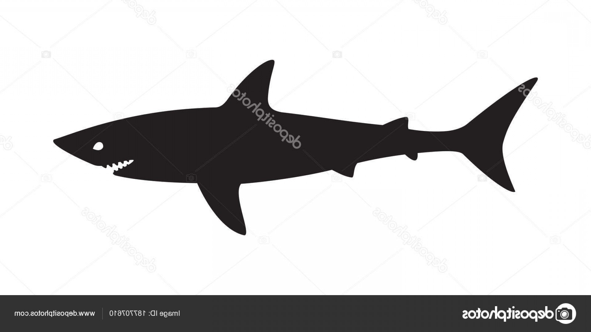 Stock Illustration Shark Vector Logo Fish Icon Soidergi 1920x1080 Stock Illustration Shark Vector Logo Fish Icon Soidergi