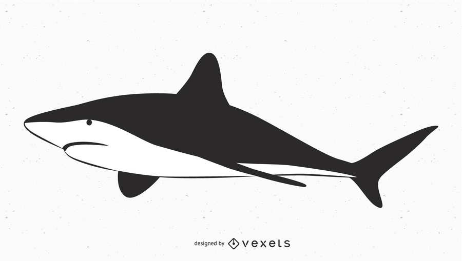 Big Shark Vector 900x509 Big Shark Vector