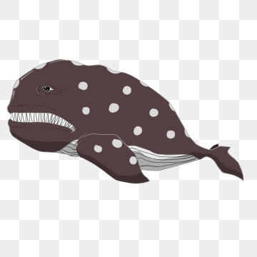 Sharp Teeth Png, Vector, And Clipart With Transparent 360x360 Sharp Teeth Png, Vector, And Clipart With Transparent