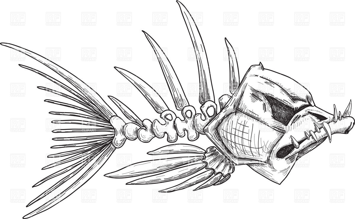 Sketch Of Evil Fish Skeleton With Sharp Crooked Teeth Vector Image 1200x742 Sketch Of Evil Fish Skeleton With Sharp Crooked Teeth Vector Image