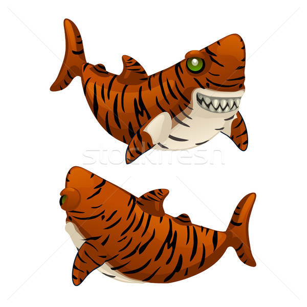 Cartoon Tiger Shark Bares His Sharp Teeth Isolated On White 600x600 Cartoon Tiger Shark Bares His Sharp Teeth Isolated On White