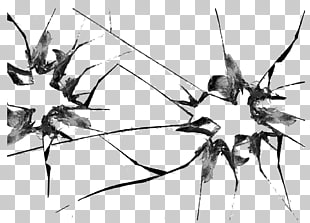 310x223 Shatter Vector Png Cliparts For Free Download Uihere