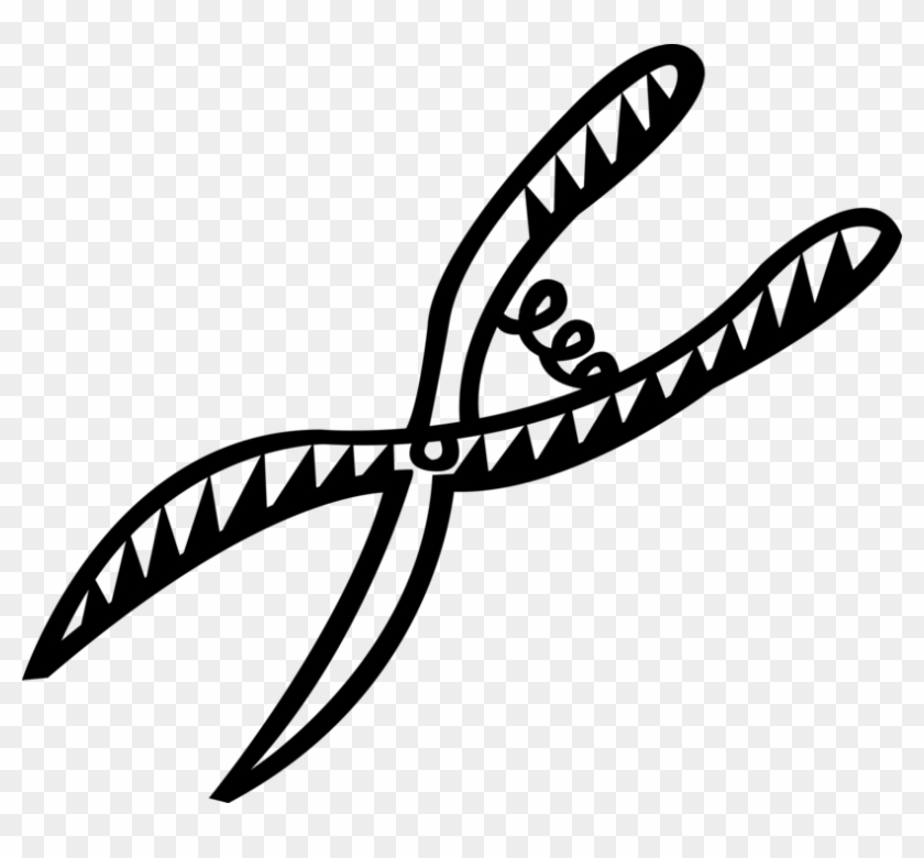 840x780 Vector Illustration Of Pruning Shears Hand Tool Used