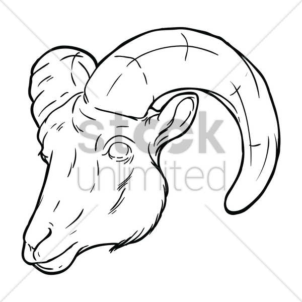 600x600 Free Sheep Face Vector Image