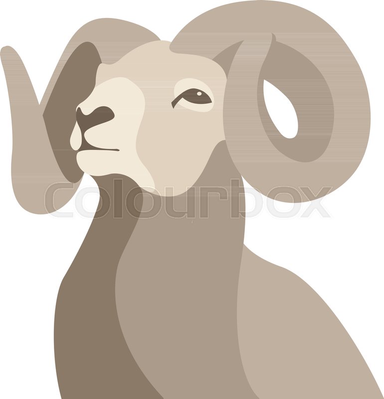 770x800 Ram Head Face Vector Illustration Flat Stock Vector Colourbox