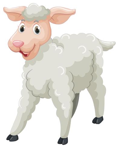 394x490 White Sheep With Happy Face