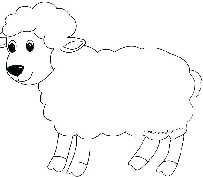 678x595 Sheep Face Drawing