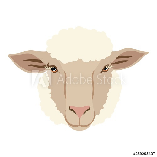 Sheep Face Vector at Vectorified.com | Collection of Sheep Face Vector ...