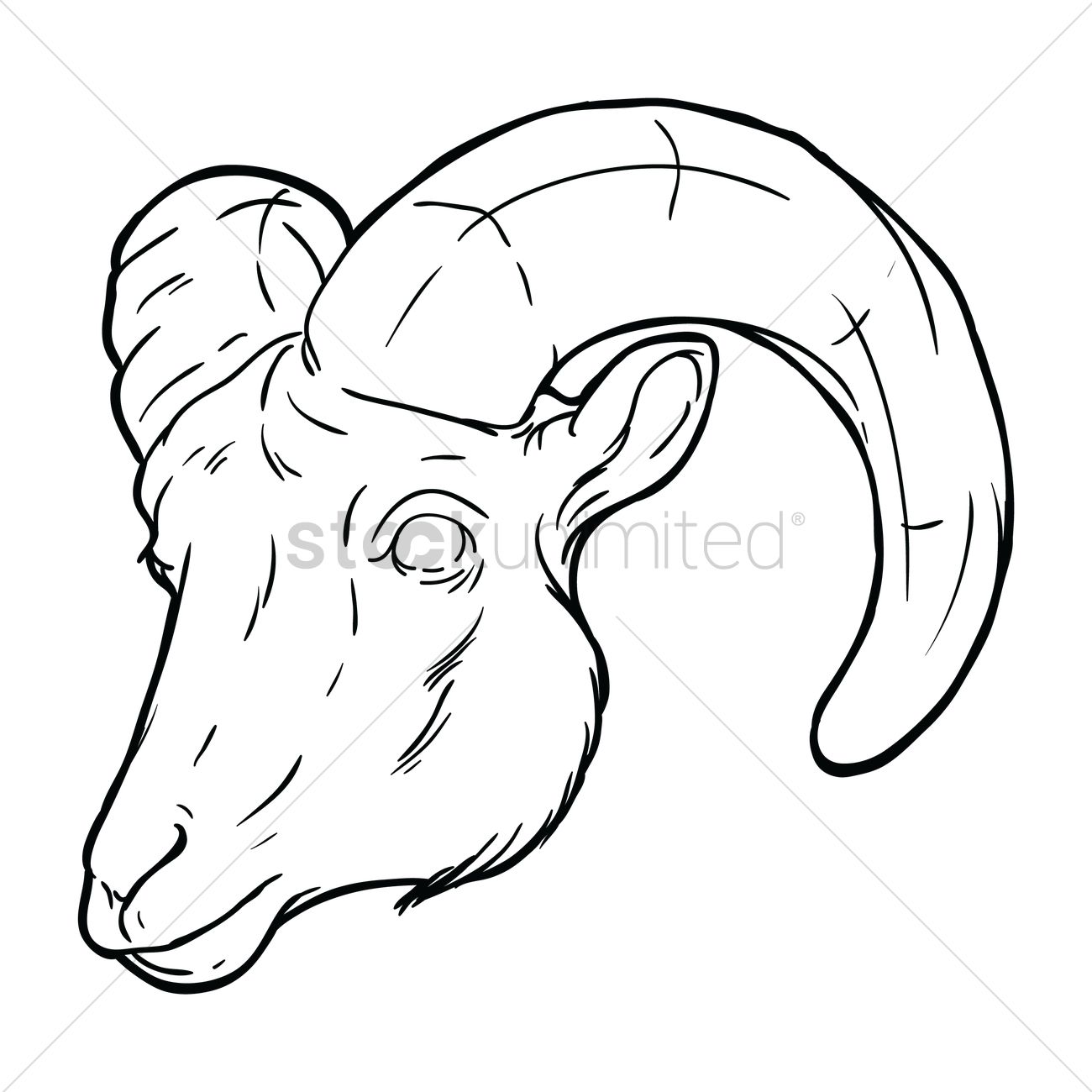 1300x1300 Free Sheep Face Vector Image